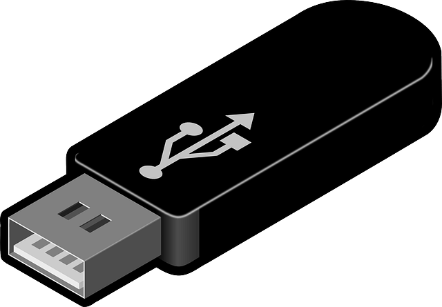 Copy Data - USB Flash - Windows Wally